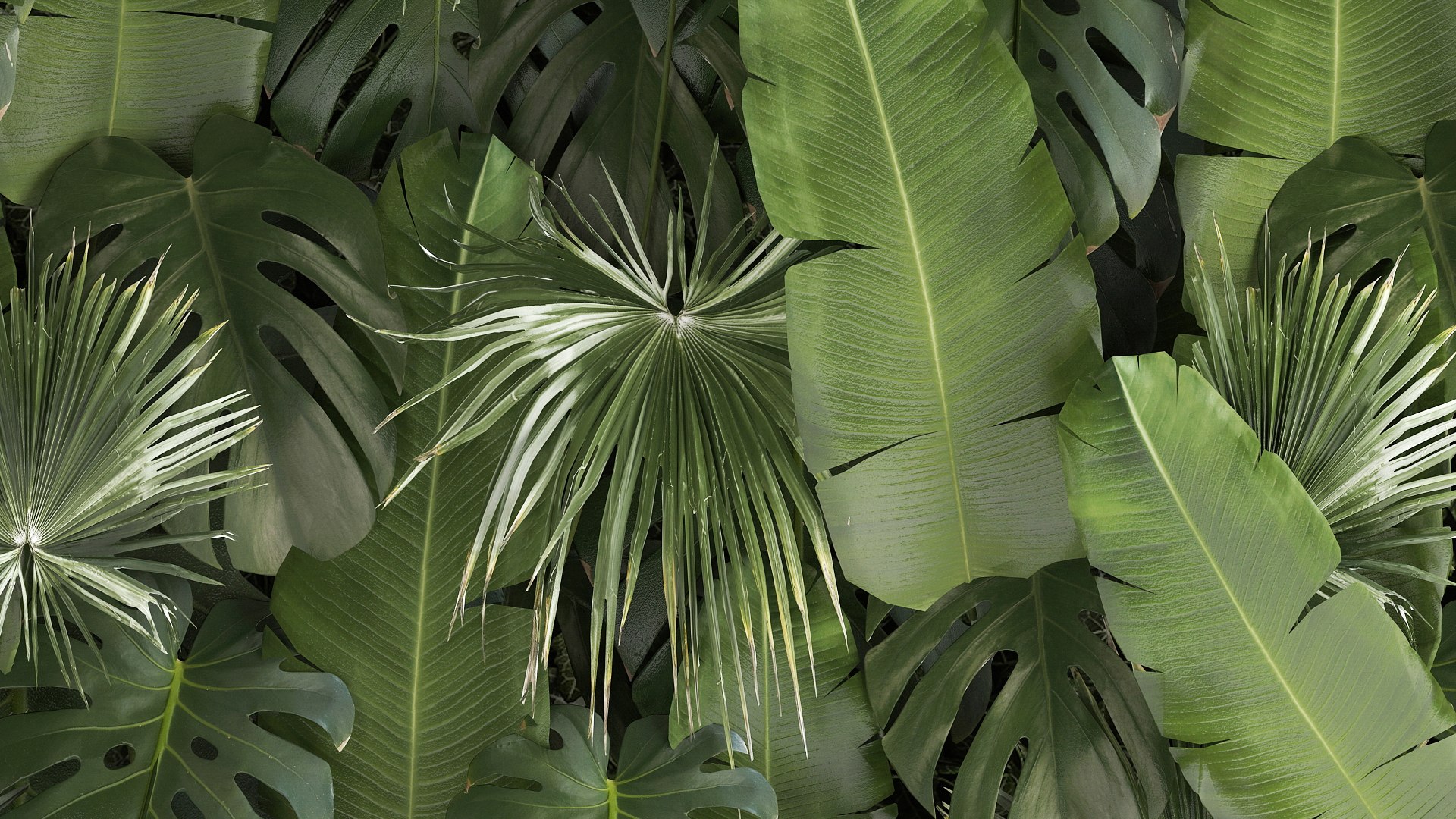 3D Vertical Garden From Plant Branches In A Phytobox 68 https://p.turbosquid.com/ts-thumb/h8/6CLzn9/uL/1phytobox2109202206/jpg/1663854921/1920x1080/fit_q87/1a6a1c81a71ed07a6b9e1442137c42515eb719b7/1phytobox2109202206.jpg