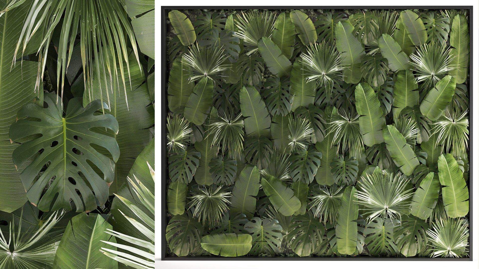 3D Vertical Garden From Plant Branches In A Phytobox 68 https://p.turbosquid.com/ts-thumb/h8/6CLzn9/zO/1phytobox2109202201/jpg/1663854919/1920x1080/fit_q87/b8eb855b9a4f24a93be7ebbd213fab268e94e74c/1phytobox2109202201.jpg