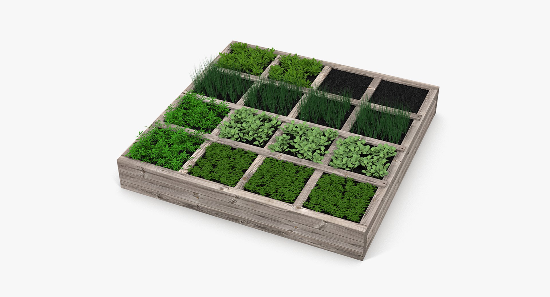 3D vegetable gardens https://p.turbosquid.com/ts-thumb/h8/Eo2f2S/13Q2x7ni/vegetablegardenscollectionc4dmodel007/jpg/1600088045/1920x1080/fit_q87/cafb34cacff971816c8d76c07fc159dbd45fed76/vegetablegardenscollectionc4dmodel007.jpg