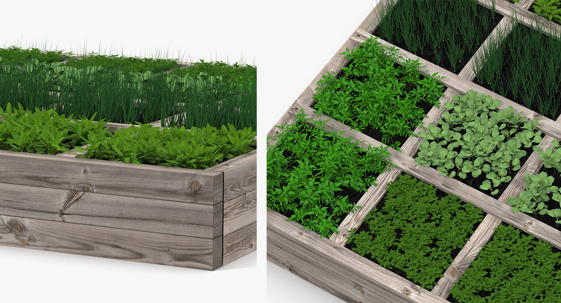 3D vegetable gardens https://p.turbosquid.com/ts-thumb/h8/Eo2f2S/B2HhRdO4/vegetablegardenscollectionc4dmodel010/jpg/1600088053/1920x1080/fit_q87/1c758f9bc8179815236343206b849b518998358a/vegetablegardenscollectionc4dmodel010.jpg