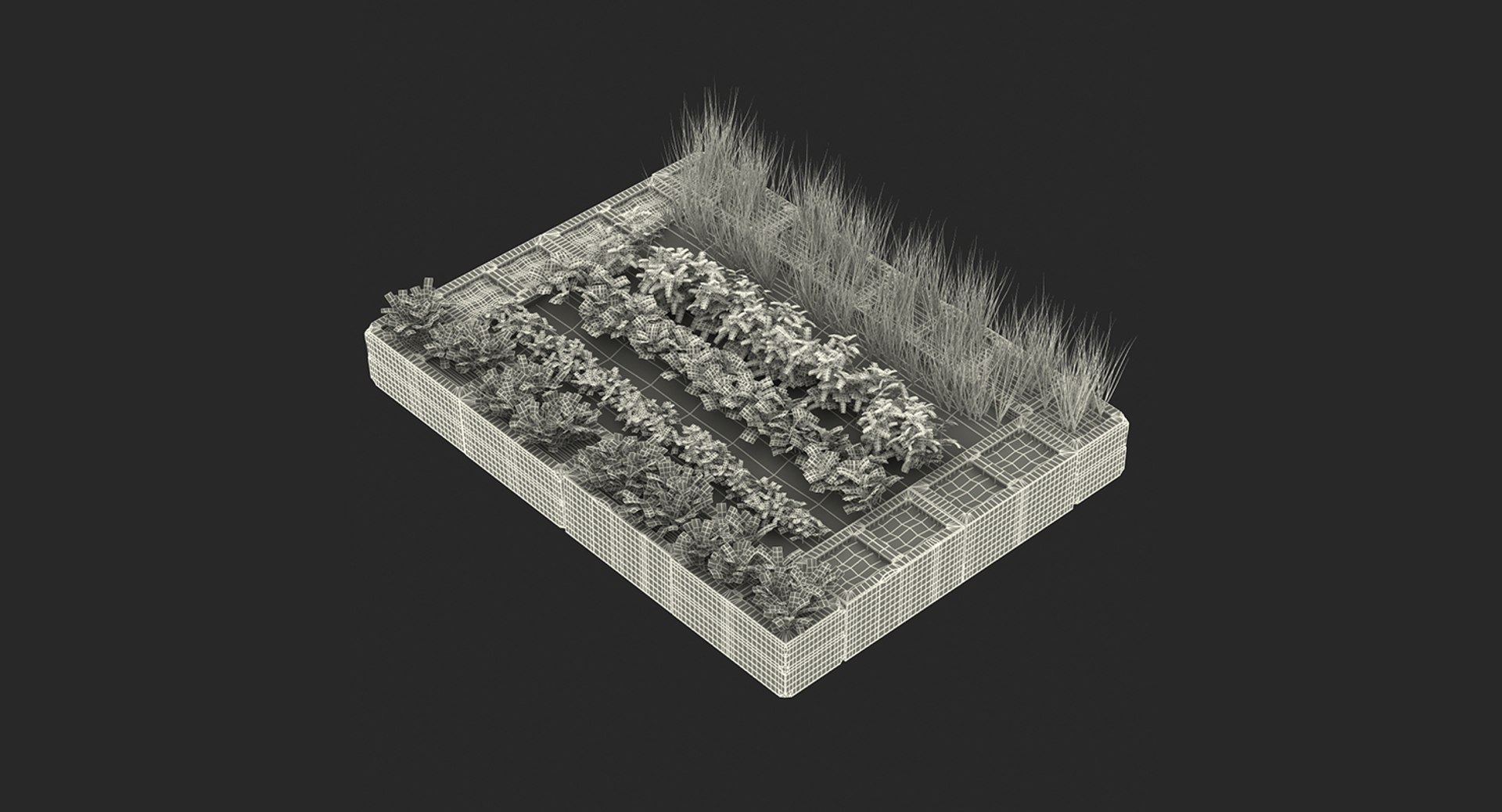 3D vegetable gardens https://p.turbosquid.com/ts-thumb/h8/Eo2f2S/ES4w2rHg/vegetablegardenscollectionc4dmodel011/jpg/1600088056/1920x1080/fit_q87/ee1b36cc35572559c4708948492372792c73a8a4/vegetablegardenscollectionc4dmodel011.jpg