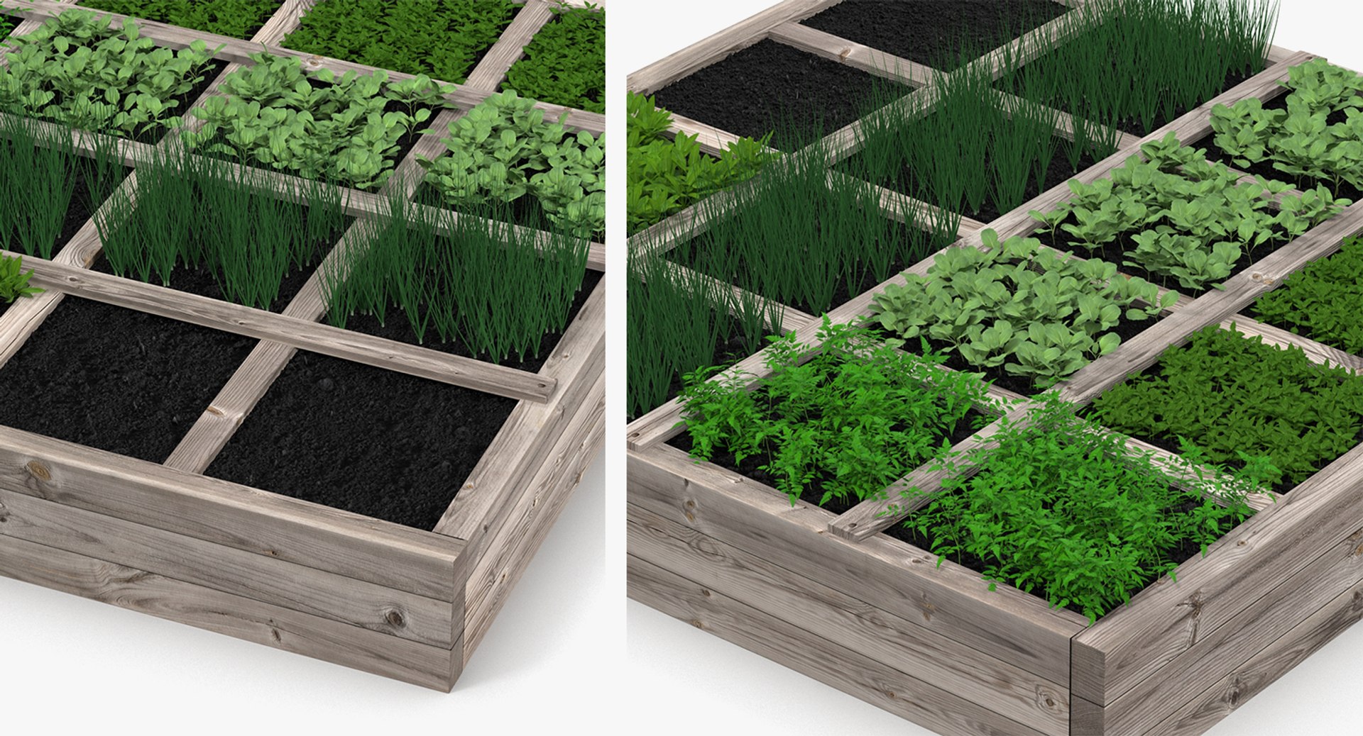 3D vegetable gardens https://p.turbosquid.com/ts-thumb/h8/Eo2f2S/HQXUpnFH/vegetablegardenscollectionc4dmodel009/jpg/1600088050/1920x1080/fit_q87/a748ef6fd9e2ba796ba51deca6121d20e4b0b99d/vegetablegardenscollectionc4dmodel009.jpg