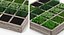 Vegetable Gardens Collection