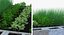 Vegetable Gardens Collection