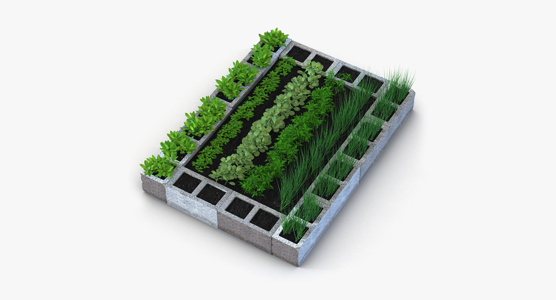 3D vegetable gardens https://p.turbosquid.com/ts-thumb/h8/Eo2f2S/sFMiK0n6/vegetablegardenscollectionc4dmodel002/jpg/1600088030/1920x1080/fit_q87/aadc69959492972a90434b0ce2e7152dba930870/vegetablegardenscollectionc4dmodel002.jpg