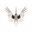 Lionfish