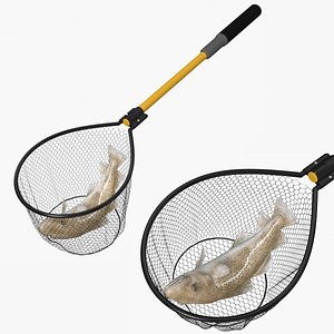 Codfish in Landing Fishing Net 3D