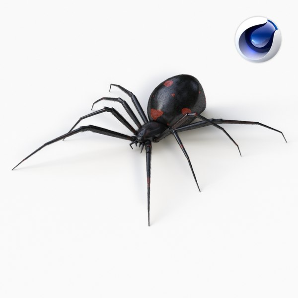 リアルブラックウィドウクモ3Dモデル - TurboSquid 1095716