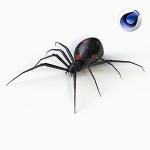 Realistic Black Widow Spider
