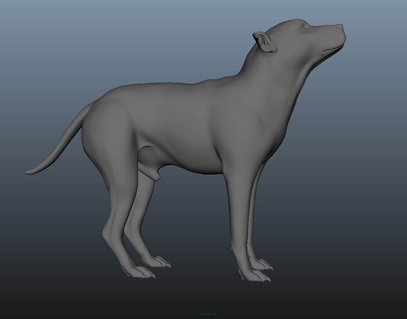 3d Model Realistic Dog