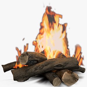 Animated Camp Fire