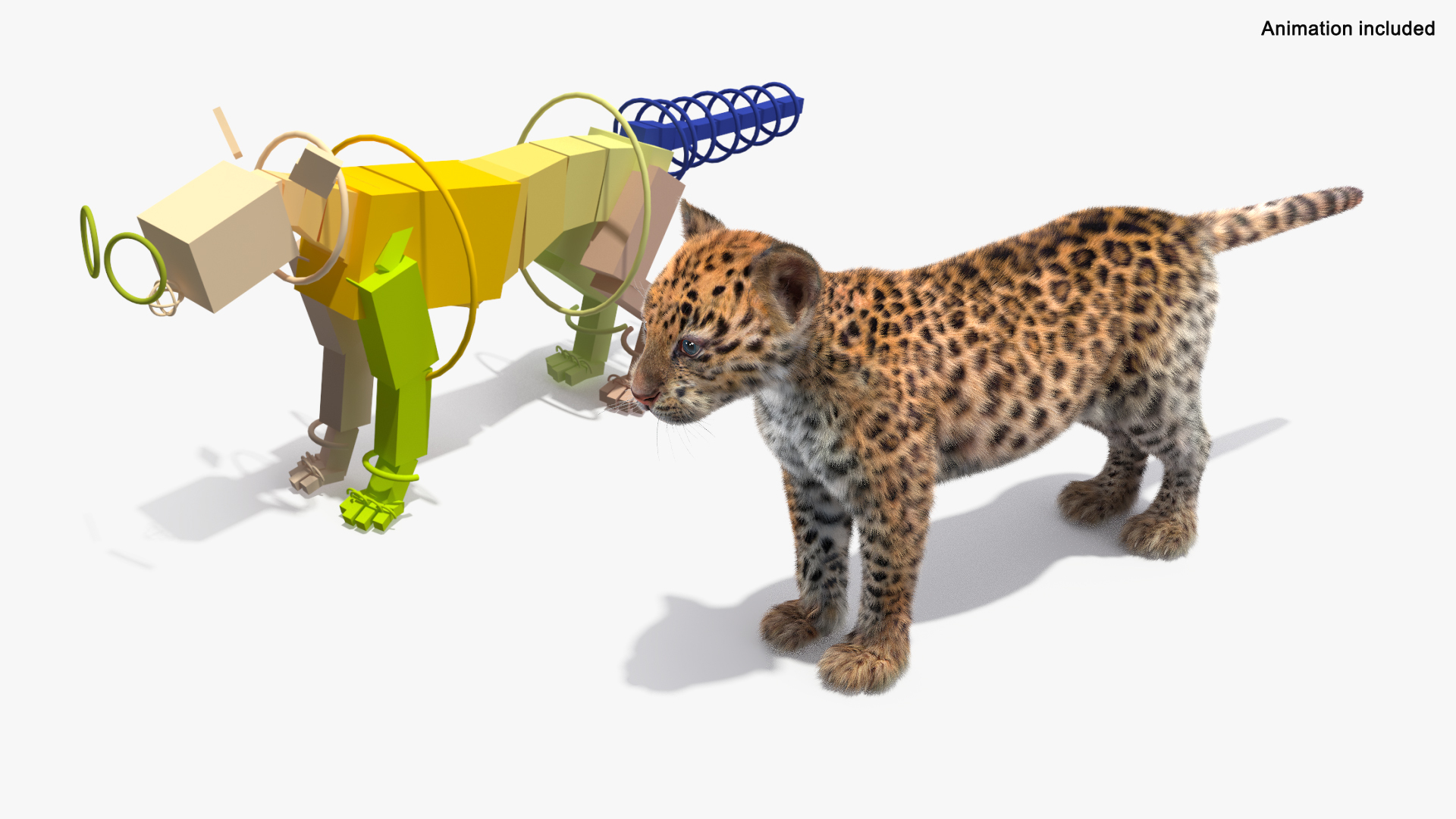Leopard Cub Playing Fur Animated Rigged Model - TurboSquid 2407392