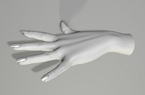 hand 3D