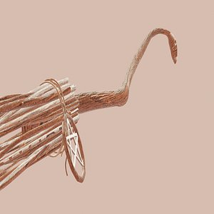 3D model Witch Broom