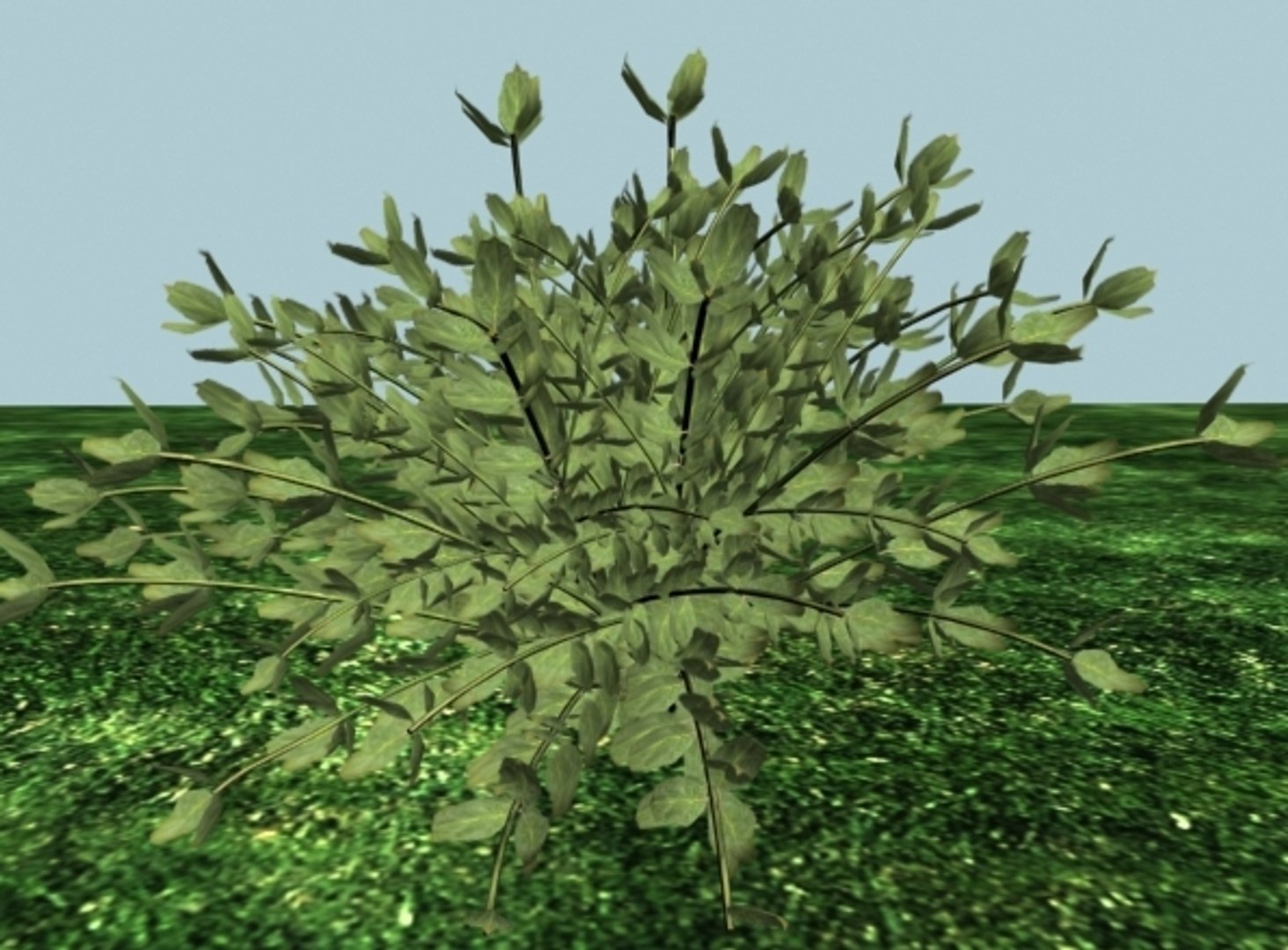 bush shrub 3d model https://p.turbosquid.com/ts-thumb/h8/wiJorn/bo2AWKg8/bush_thumb_pers/jpg/1164530984/1920x1080/fit_q87/924c6f72ea365b913f707d3429d3e38f423258a6/bush_thumb_pers.jpg