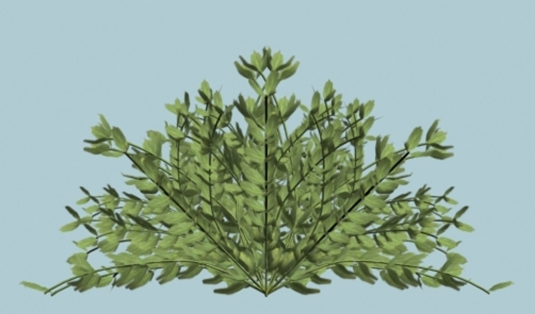 bush shrub 3d model https://p.turbosquid.com/ts-thumb/h8/wiJorn/wMFwkb0i/bush_thumb_left/jpg/1164530883/1920x1080/fit_q87/cc1b0e9d86161d746b7424e49447a2c0b1a66cdd/bush_thumb_left.jpg