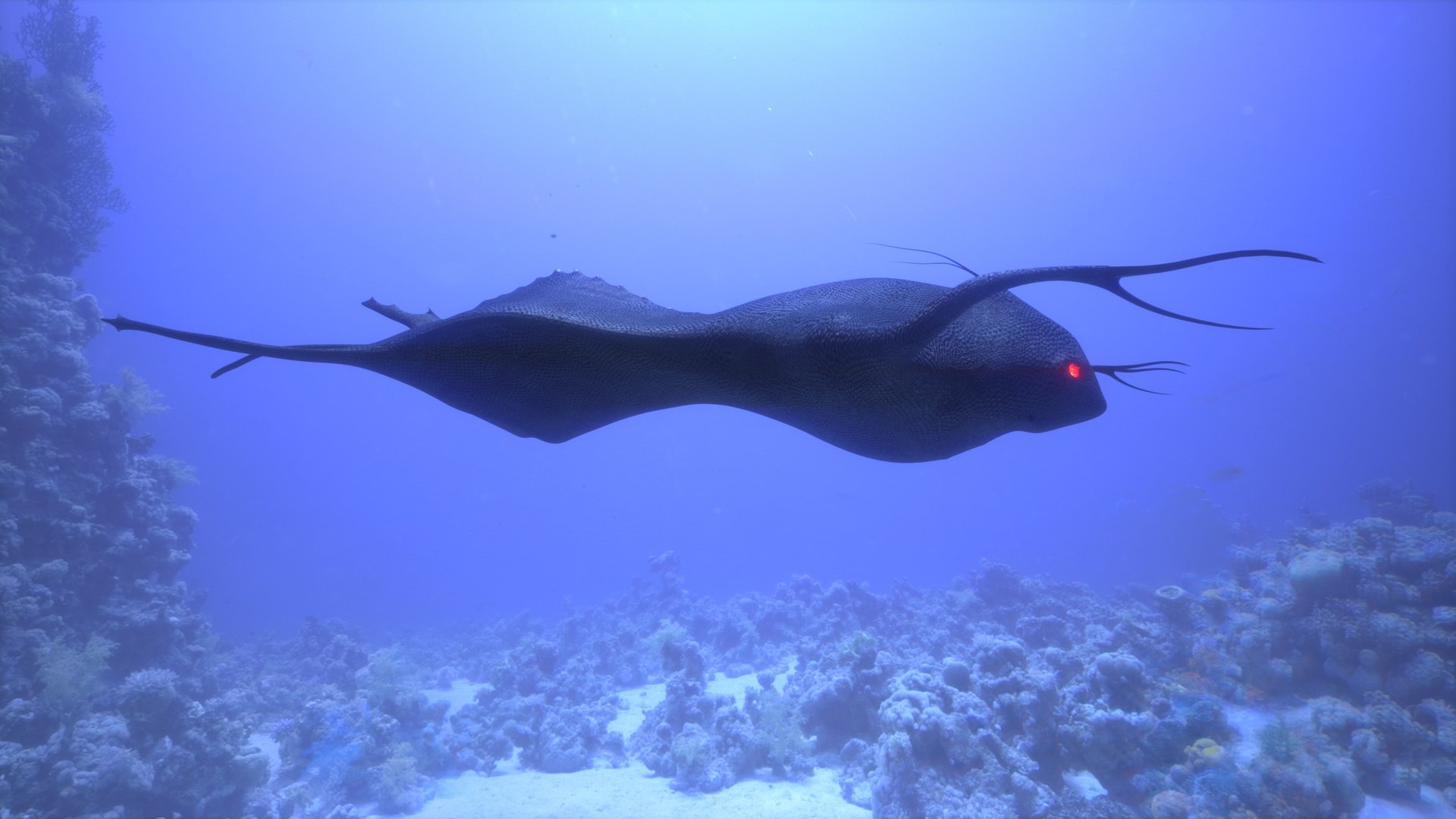 3D extraterrestrial creature https://p.turbosquid.com/ts-thumb/h9/4GRp9v/kKyFdLbe/renderssp10/jpg/1529866729/1920x1080/fit_q87/0b07e386426044c11e79521bf9b79a68772a06fd/renderssp10.jpg