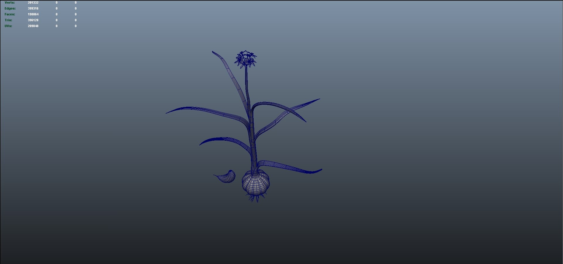 3D Allium Sativum Garlic Plant model https://p.turbosquid.com/ts-thumb/h9/5IjluA/Sk/b1217alliumsativum_02/jpg/1632399684/1920x1080/fit_q87/0cbddfc25add403388438e59330032588c984a9c/b1217alliumsativum_02.jpg