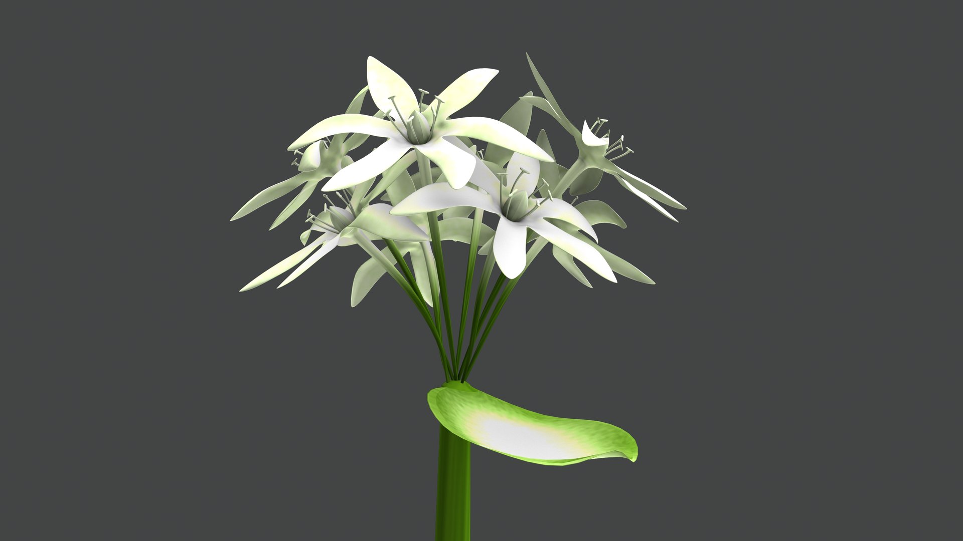 3D Allium Sativum Garlic Plant model https://p.turbosquid.com/ts-thumb/h9/5IjluA/WV/b1217alliumsativum2/jpeg/1632399626/1920x1080/fit_q87/0c3bac733d20d4187b4751ebc60397924cf22321/b1217alliumsativum2.jpg
