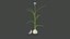 Allium Sativum Чеснок