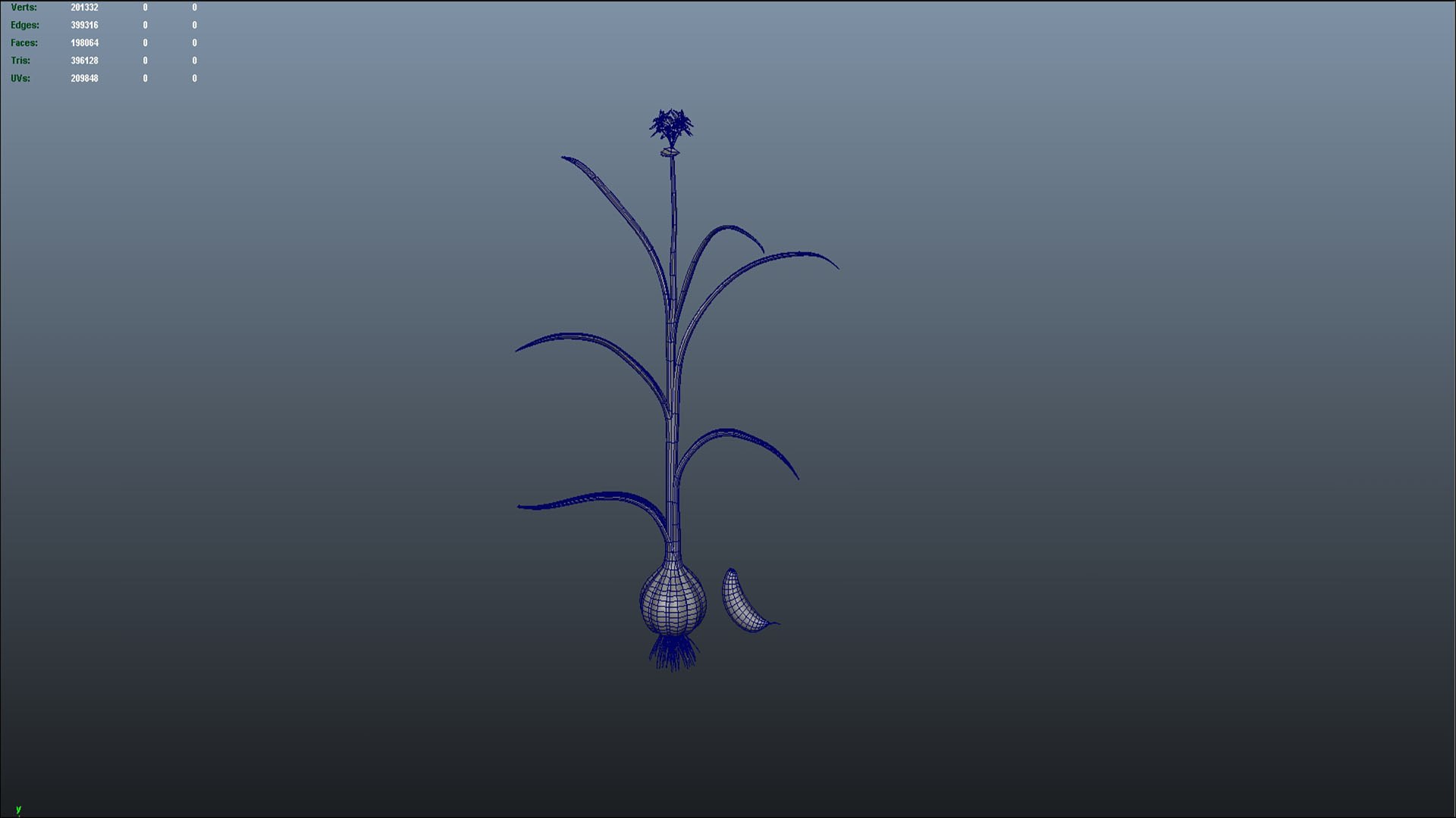 3D Allium Sativum Garlic Plant model https://p.turbosquid.com/ts-thumb/h9/5IjluA/z5/b1217alliumsativum_01/jpg/1632399683/1920x1080/fit_q87/54db55052b5b0ccc86f0466c86dc8a51bbdd50cb/b1217alliumsativum_01.jpg