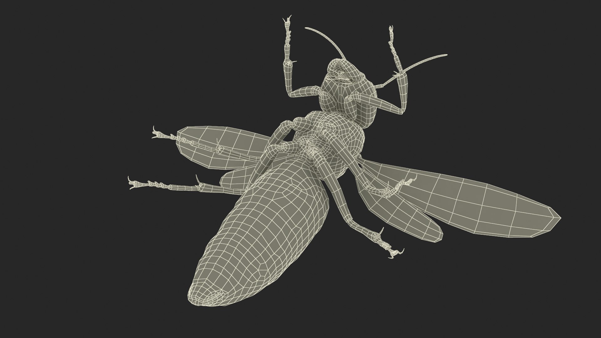 Vespa Mandarinia Flying Pose 3D https://p.turbosquid.com/ts-thumb/h9/7Cw3EV/V6/vespamandariniaflyingposec4dmodel019/jpg/1724917716/1920x1080/fit_q87/a462da754f4113c8483f084912403f4642df6a9a/vespamandariniaflyingposec4dmodel019.jpg