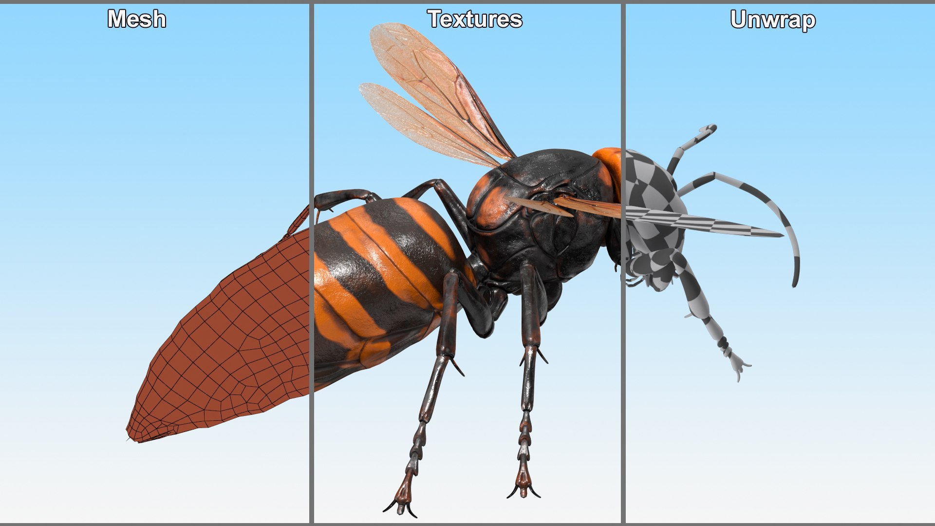 Vespa Mandarinia Flying Pose 3D https://p.turbosquid.com/ts-thumb/h9/7Cw3EV/oX/vespamandariniaflyingposec4dmodel010/jpg/1724917679/1920x1080/fit_q87/14a3e94957fd95b145b64f950bded6adf3b5ee4f/vespamandariniaflyingposec4dmodel010.jpg