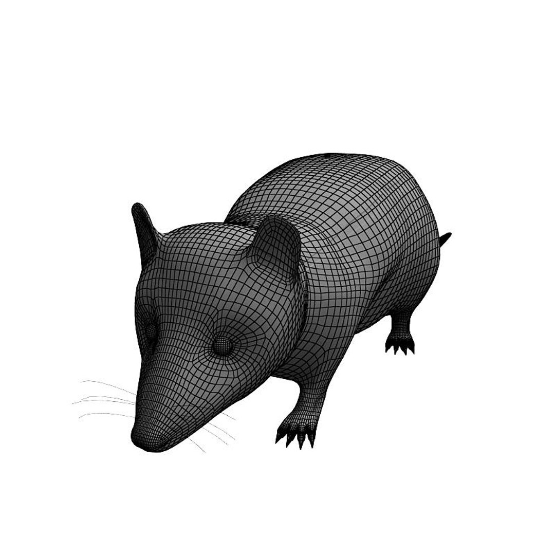 3d x opossum animals marsupials https://p.turbosquid.com/ts-thumb/h9/BakqYt/kr5lFVYi/opossumw01/jpg/1235212515/1920x1080/fit_q87/89e7736ae90e836189112cc563eab232cd75c61d/opossumw01.jpg