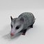 Opossum v1 by 3DRivers