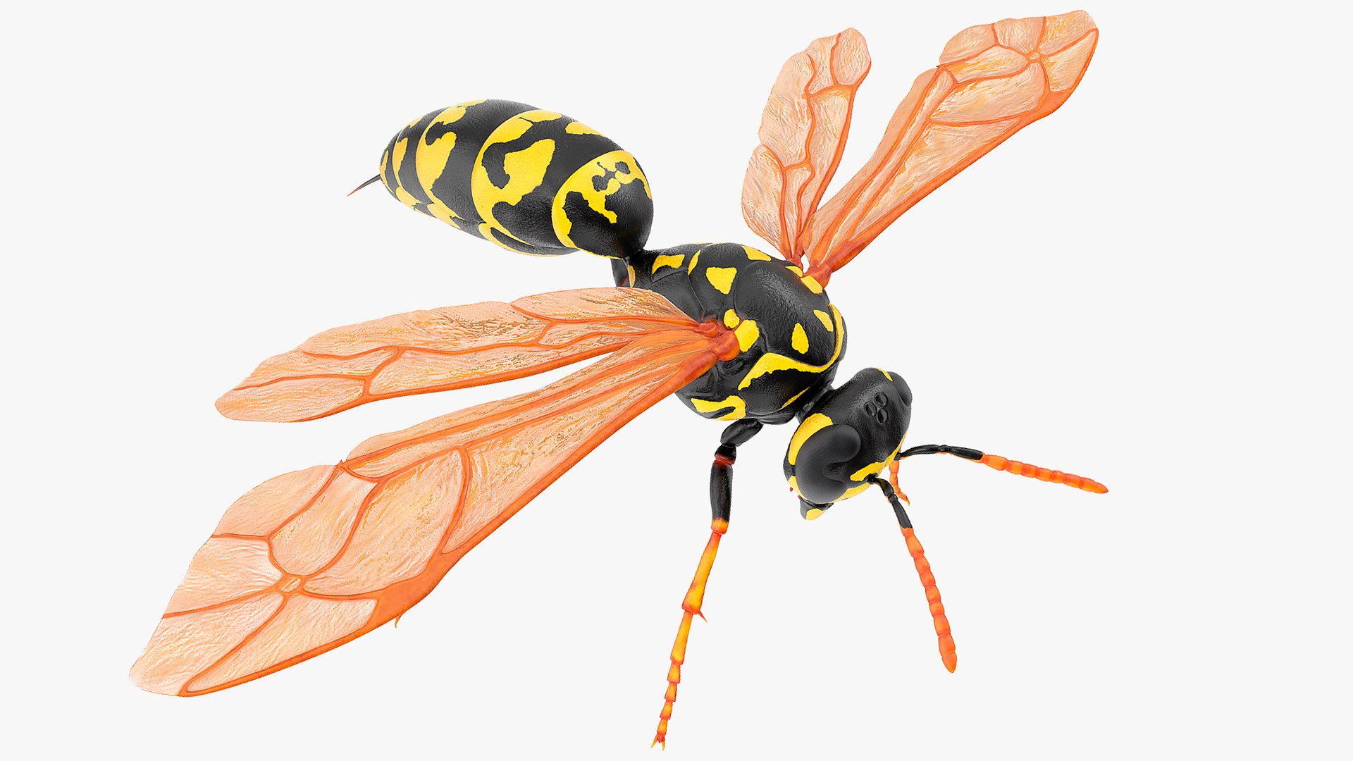 Paper Wasp 3D model preview