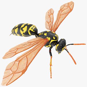 Paper Wasp