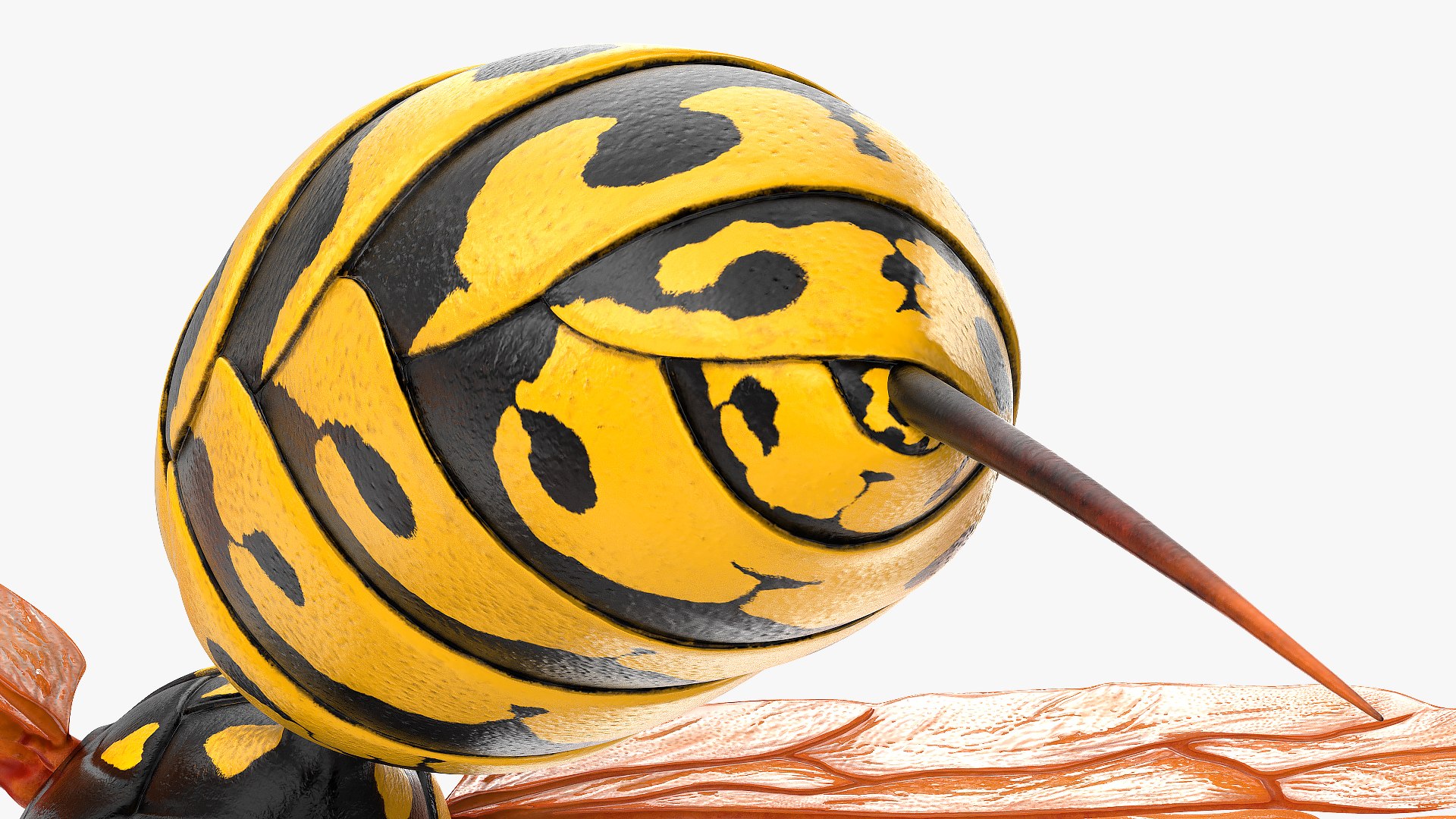 Paper wasp 3D model - TurboSquid 1629202