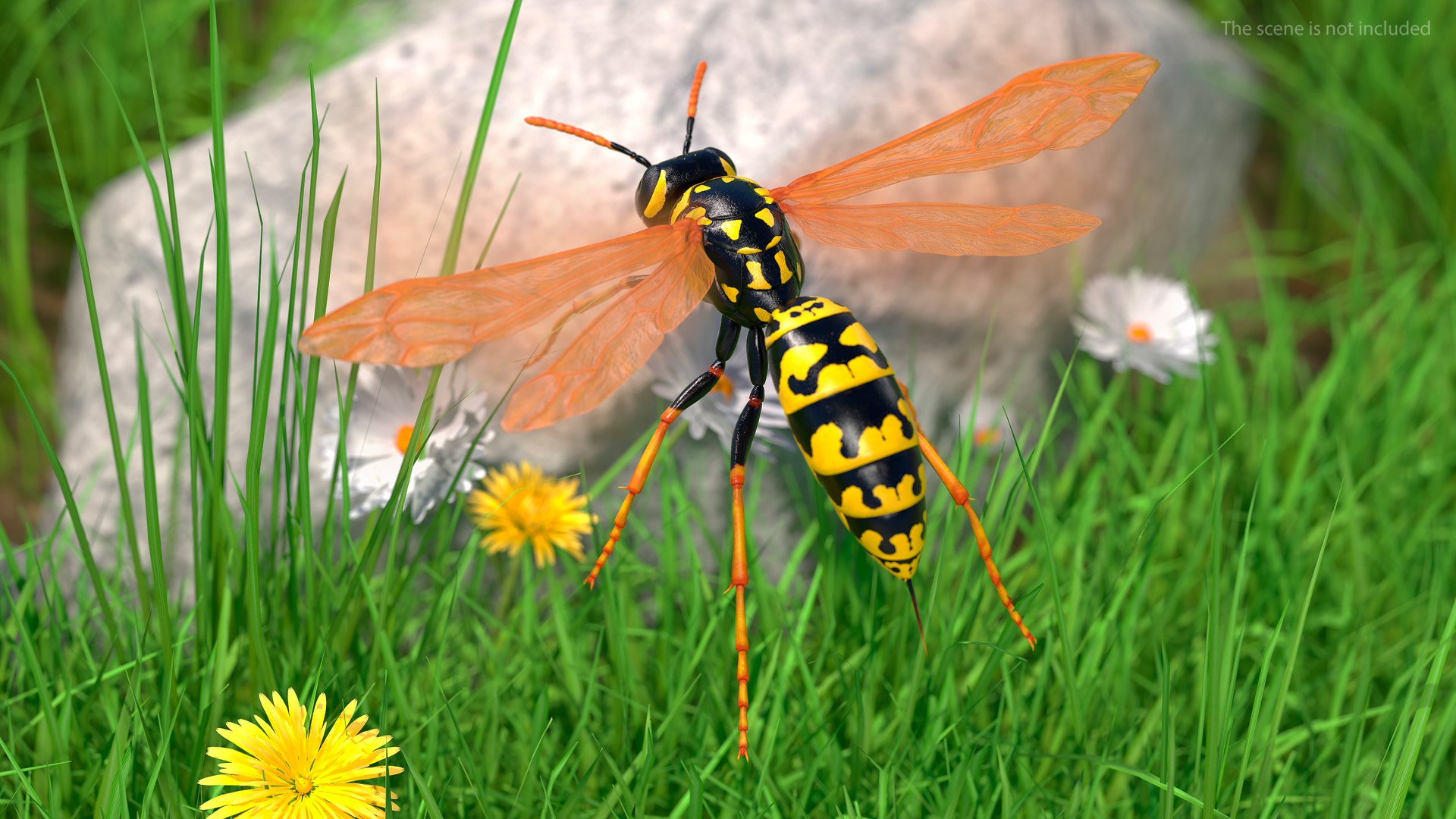 Paper Wasp 3D Model - TurboSquid 1629202
