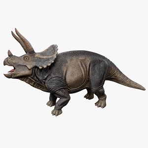 Triceratops rigged 3D model