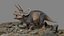 Triceratops rigged 3D model