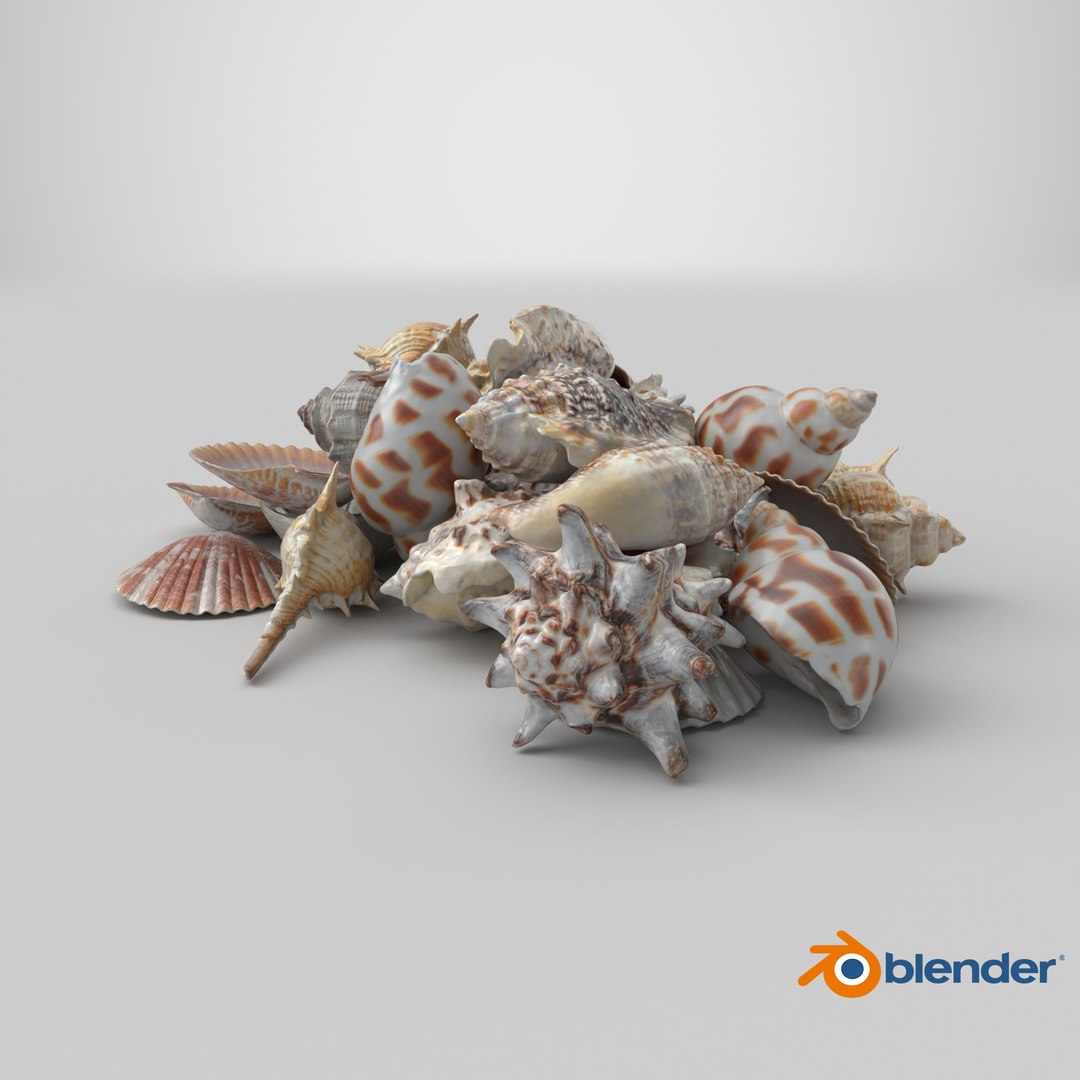 3D Seashell Pile v1 model https://p.turbosquid.com/ts-thumb/h9/RMxzPG/8y/stemcell_blender_cycles_render/png/1722361643/1920x1080/fit_q87/cde95cb6f13f7cd7f79059dbc4cf7a6f65ac1bc0/stemcell_blender_cycles_render.jpg