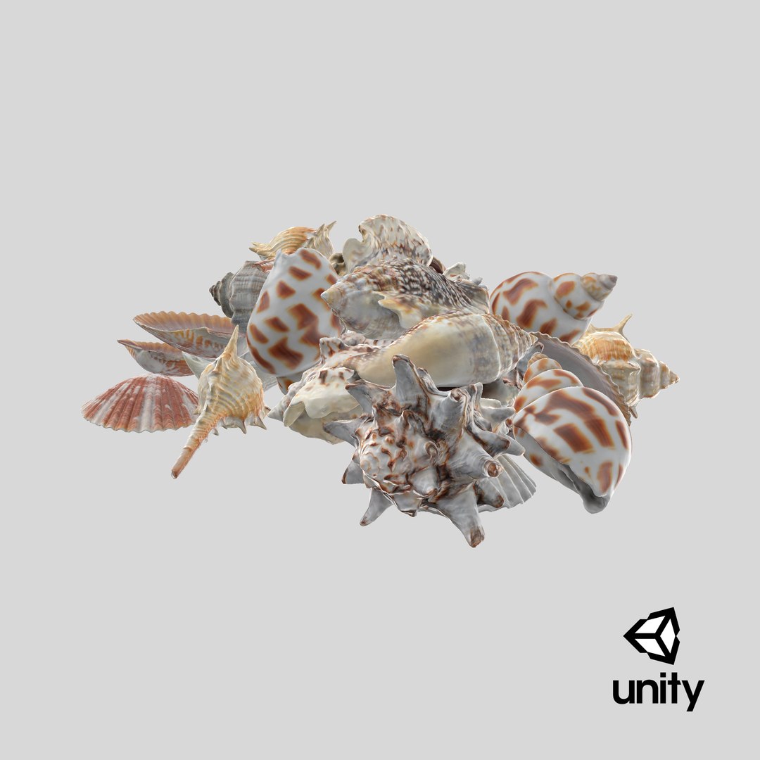 3D Seashell Pile v1 model https://p.turbosquid.com/ts-thumb/h9/RMxzPG/TN/stemcell_unity_render/png/1722361658/1920x1080/fit_q87/3de2ea3bf7589c3676179e05389301a46edaa73c/stemcell_unity_render.jpg