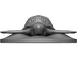 Realistic Sea Turtle 3D model