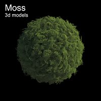 Moss 3d model