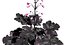 3D Primo Black Pearl Coral Bells 3D pack model