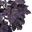 3D Primo Black Pearl Coral Bells 3D pack model