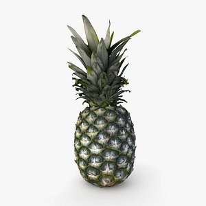 Realistic Pineapple 3D model