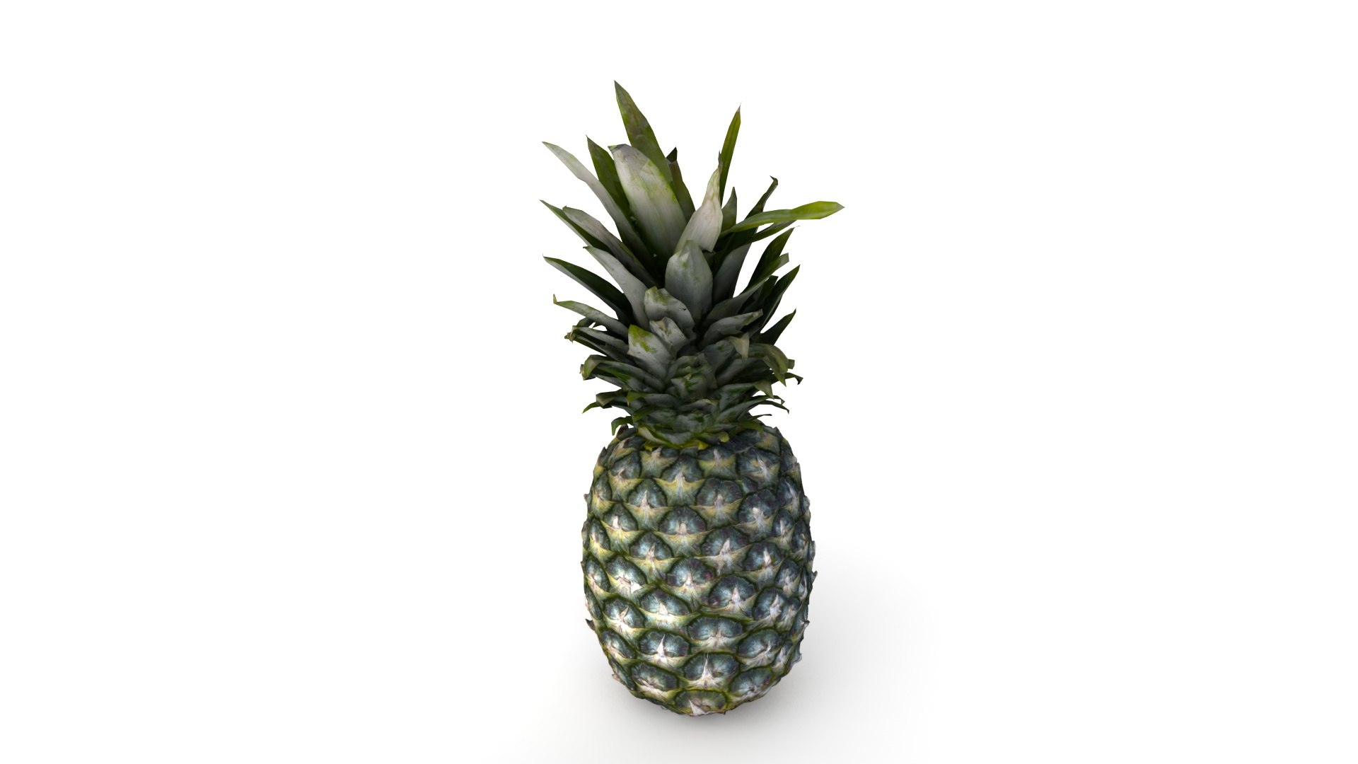 Realistic Pineapple 3D Model - TurboSquid 1926480