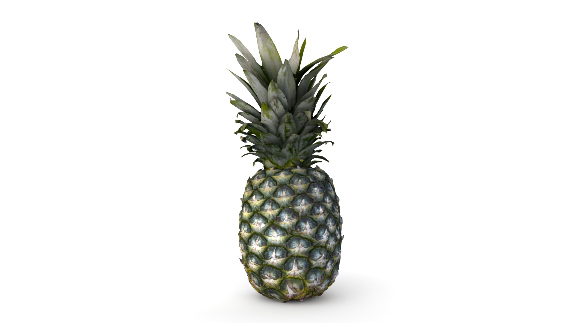 Realistic Pineapple 3D Model - TurboSquid 1926480