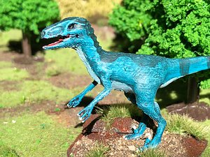 Velociraptor / Deinonychus