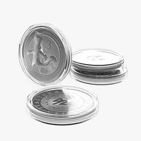 Milano Cortina Winter Games Coin Collectible Clear Case