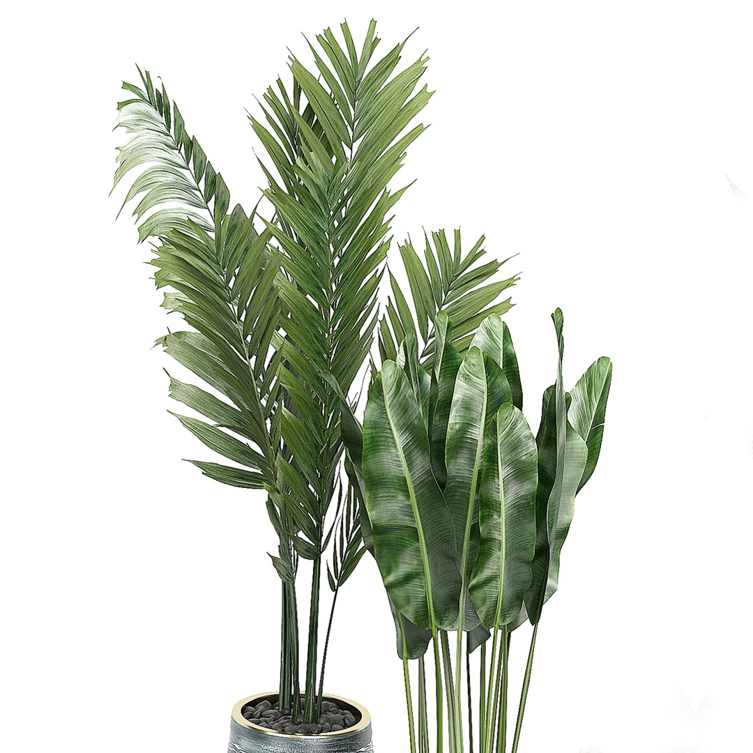 3D potted plants set 42 https://p.turbosquid.com/ts-thumb/h9/g5xn2O/8fJeC5tx/flowerpack423/jpg/1589976650/1920x1080/fit_q87/9921375123587f1d87976b59600fbb85dafb311f/flowerpack423.jpg