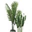 Plantas em vaso Conjunto 42