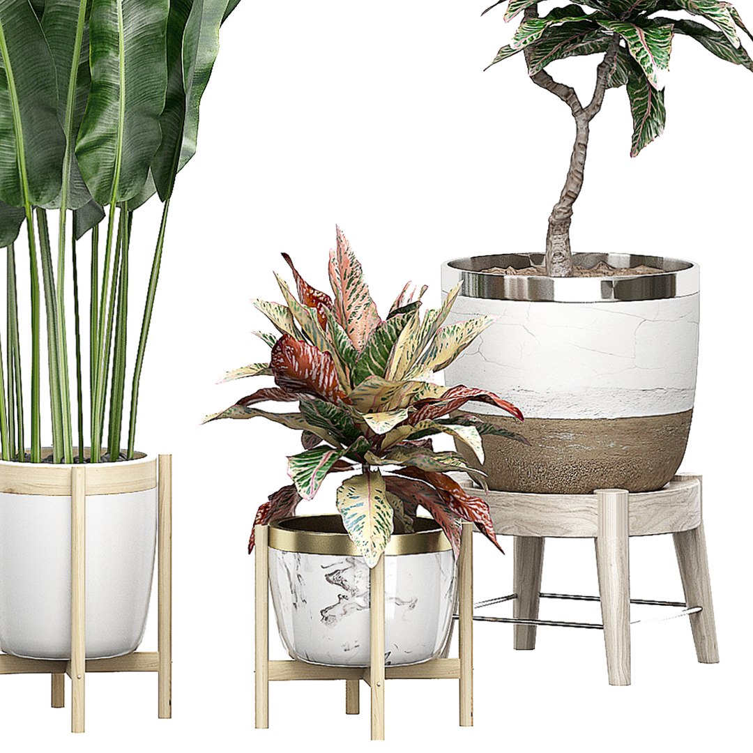 3D potted plants set 42 https://p.turbosquid.com/ts-thumb/h9/g5xn2O/JeRzSxM9/flowerpack421/jpg/1589976580/1920x1080/fit_q87/e055b04124ccb8ef9f45f7cd52ececb1fe96fbe8/flowerpack421.jpg