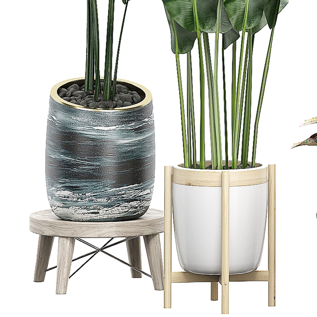 3D potted plants set 42 https://p.turbosquid.com/ts-thumb/h9/g5xn2O/cB5nYoXi/flowerpack422/jpg/1589976591/1920x1080/fit_q87/19d32c89dbdad6fa1e5715304f056a74ba94a44c/flowerpack422.jpg